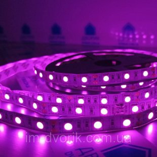 Світлодіодна стрічка 12V (5 метрів) smd5050 IP20 рожевий 60led для освітлення