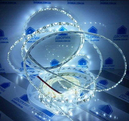 Герметична світлодіодна стрічка 5050 6500К у силіконі (катушка 5 метрів).